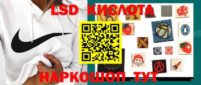 крисы Гусев