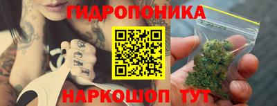 apvp Гай